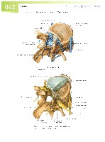Sobotta  Atlas of Human Anatomy  Trunk, Viscera,Lower Limb Volume2 2006, page 49